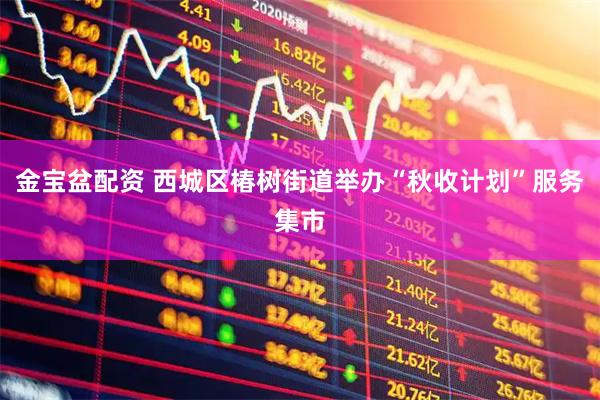 金宝盆配资 西城区椿树街道举办“秋收计划”服务集市