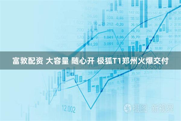富敦配资 大容量 随心开 极狐T1郑州火爆交付