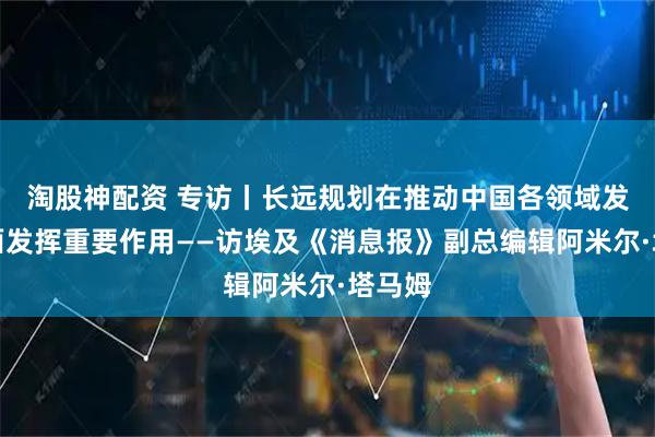 淘股神配资 专访丨长远规划在推动中国各领域发展方面发挥重要作用——访埃及《消息报》副总编辑阿米尔·塔马姆