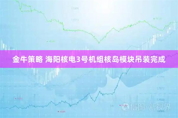 金牛策略 海阳核电3号机组核岛模块吊装完成